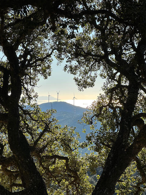 Ruta en bicicleta electrica en Tarifa - Rutas e-bike Tarifa 10.jpeg